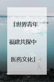 世界青年福建共探中医药文化